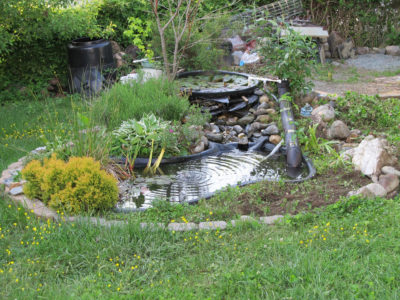 Small Garden Pond