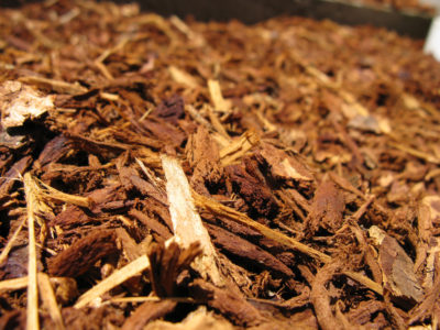 Wood Chip Mulch