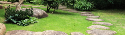 Garden with Pathway